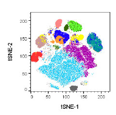 Immunophenotyping Panel