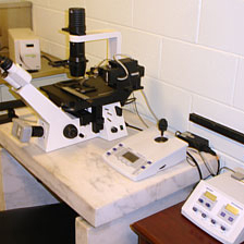 Sample Preparation image 1